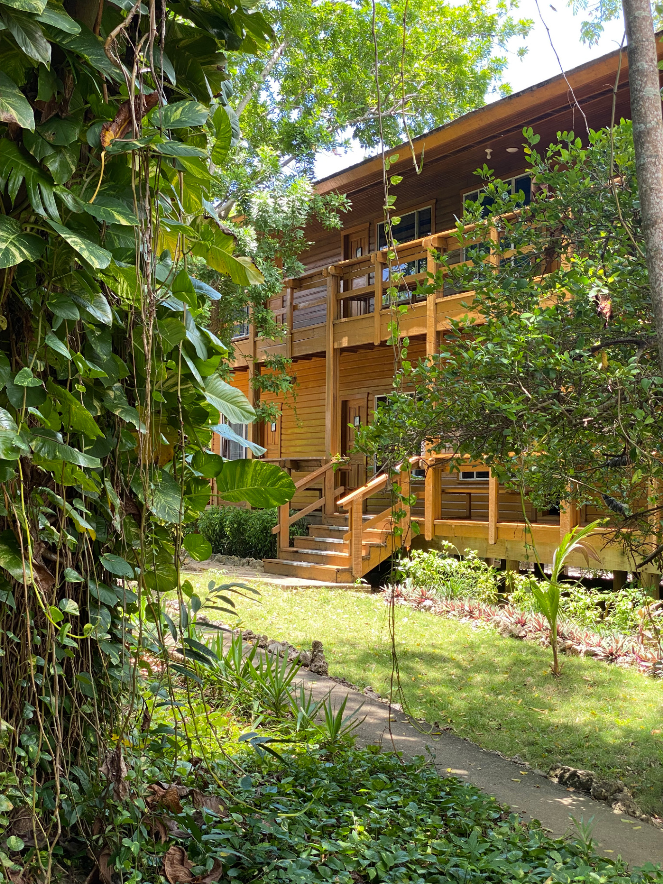 Wooden lodge cabins surrounded by jungle at Inn of Last Resort